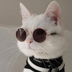 Meet your Posher, Zhivani